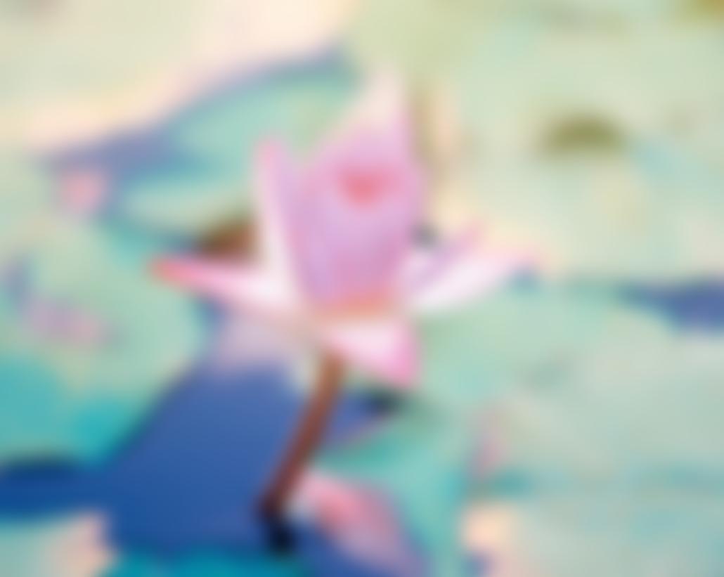 Open Pathway Retreat Centre | Charici