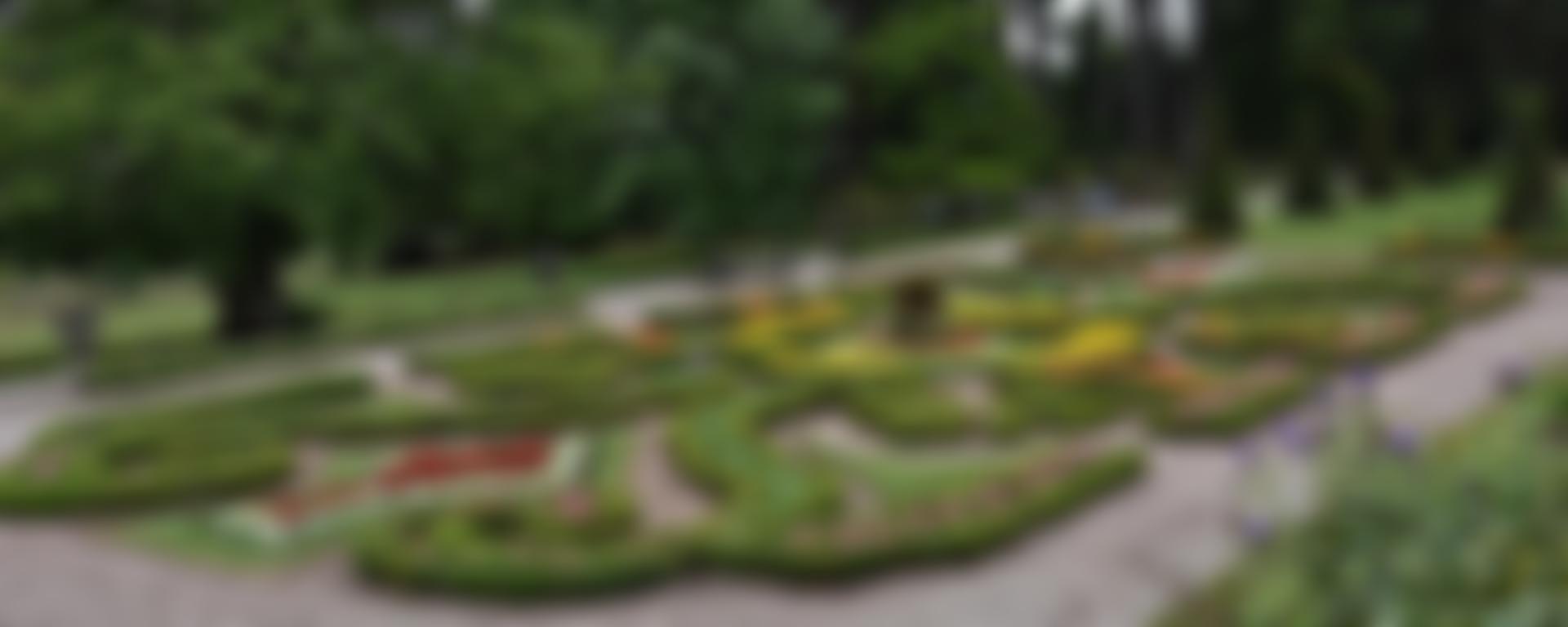 Devon Gardens Trust | Charici