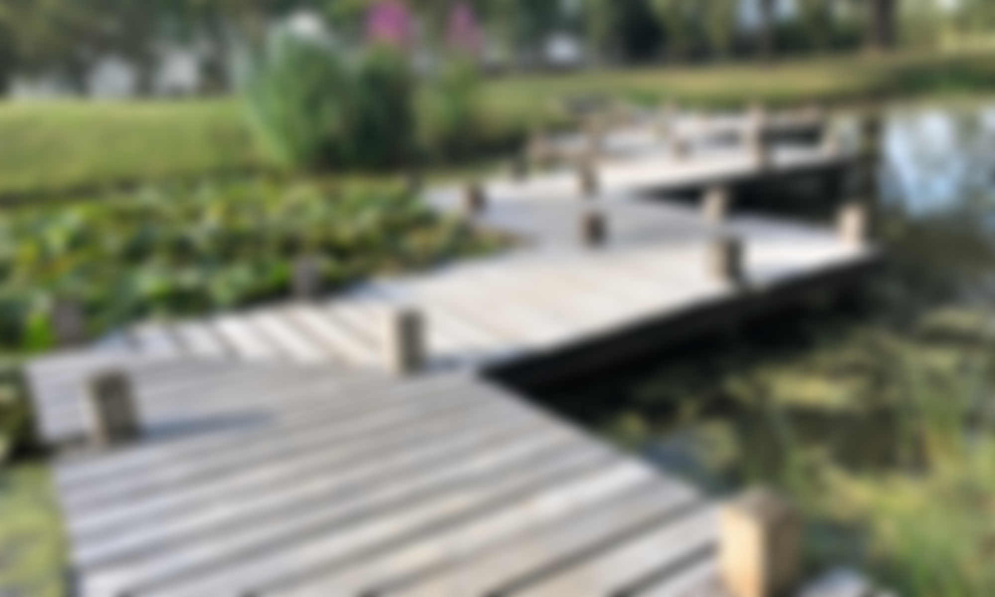 The Christabella Charitable Trust | Charici