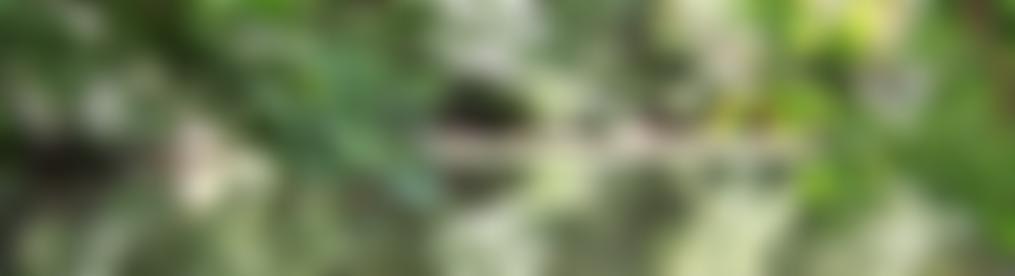 Friends Of Box Hill Association | Charici