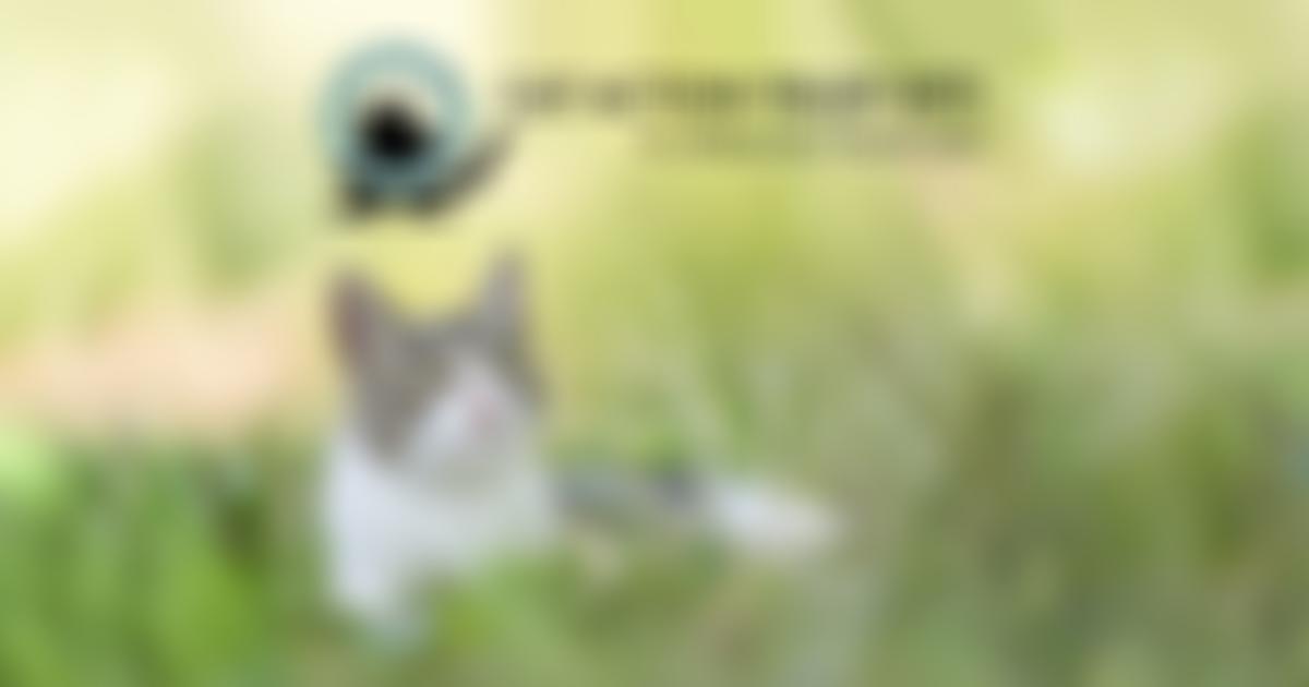 Cat Action Trust 1977 | Charici