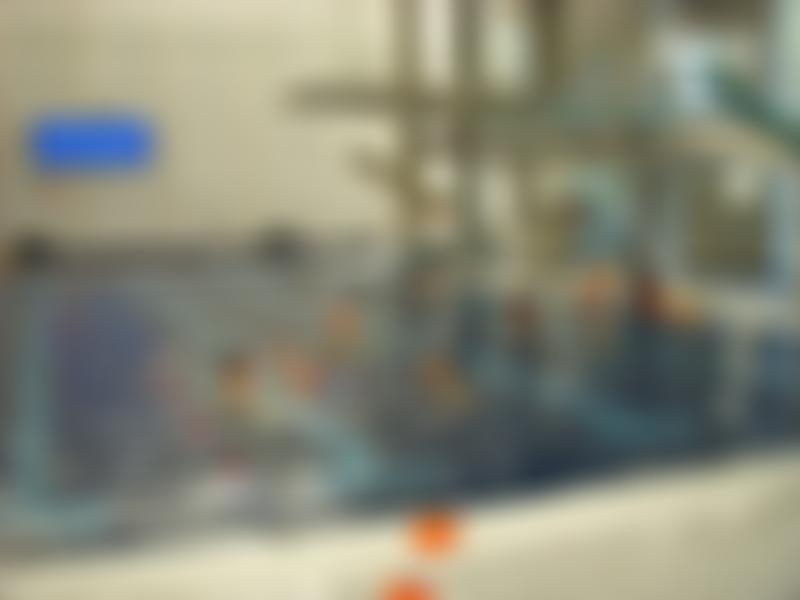 Plymouth Pisces Swimming Club | Charici