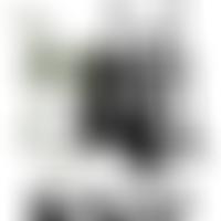 Exeter Children's Orchestra | Charici