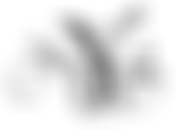 The Nicholas Yonge Society | Charici