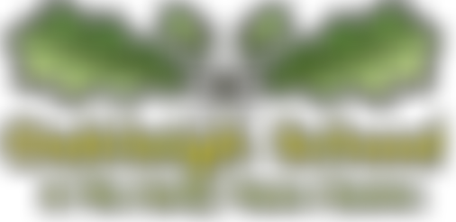 Oakleigh School Parent Staff Association | Charici