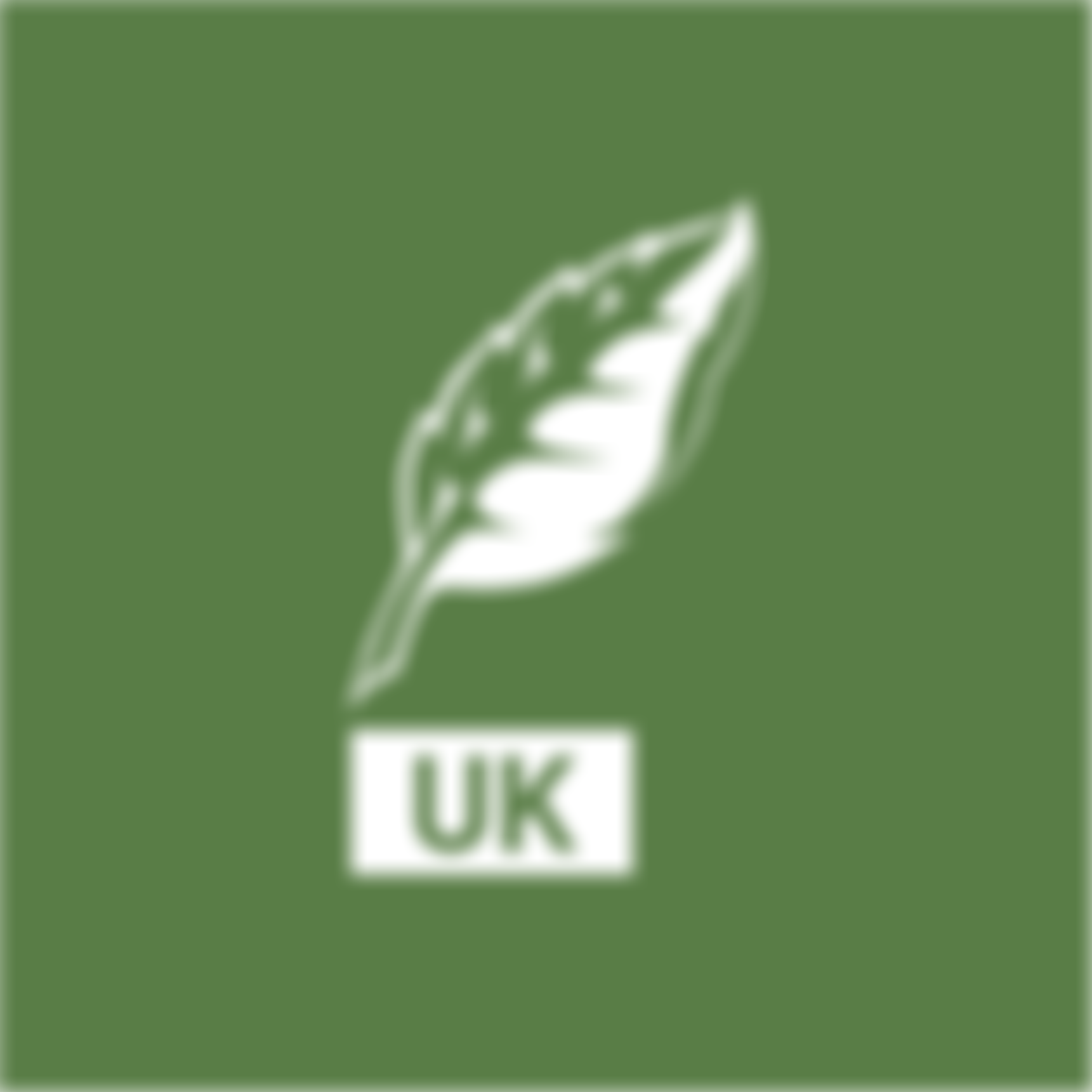 Institute For European Environmental Policy, London | Charici