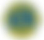 Bognor Regis Lions Club Charity Trust Fund | Charici