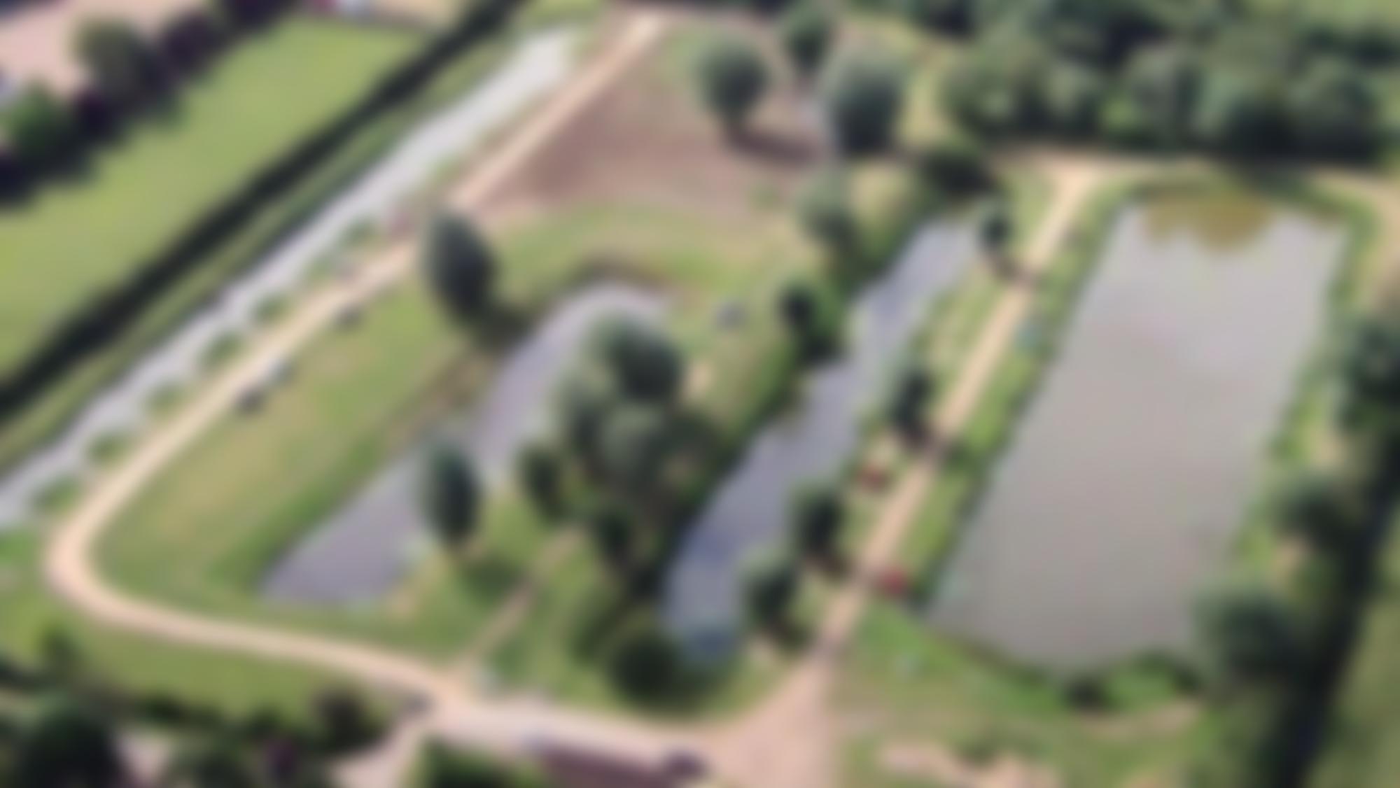 Manderson Trust For The Disabled | Charici