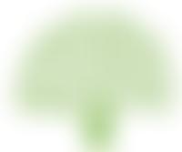 Nailsea Community Trust Limited | Charici