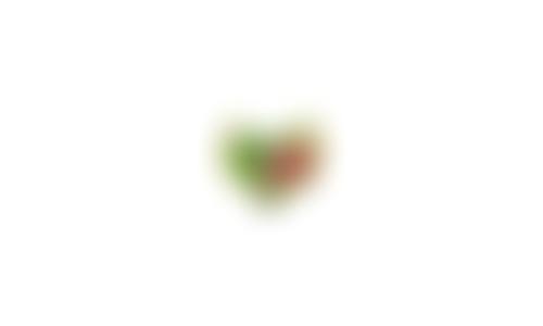 Filleigh School Parent Teacher Association | Charici