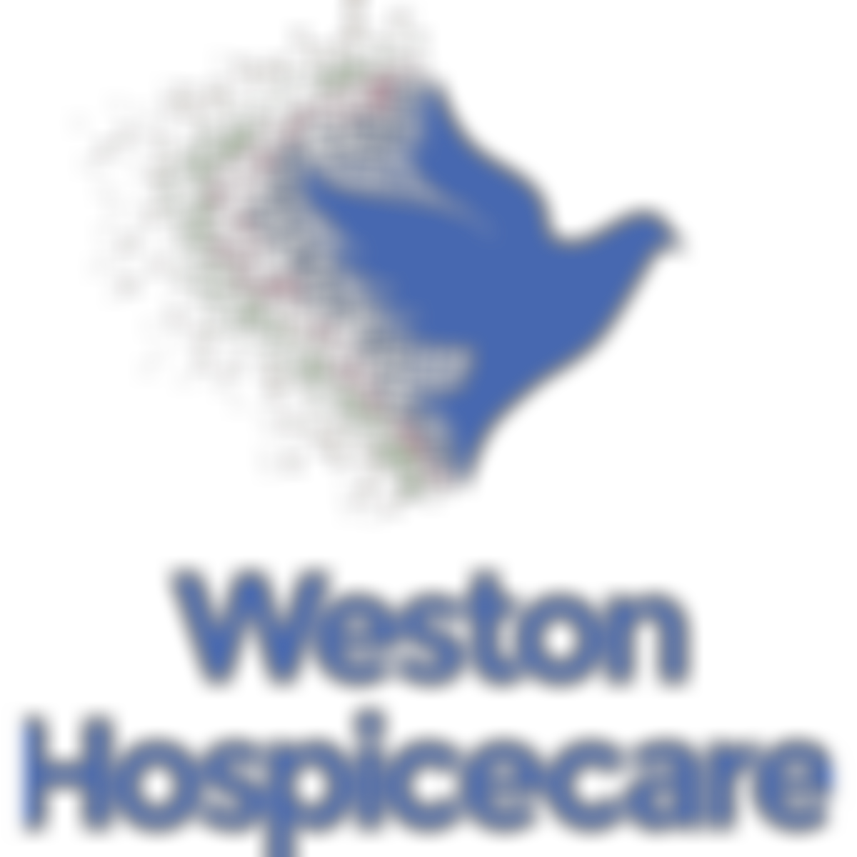 Weston Hospicecare Limited | Charici