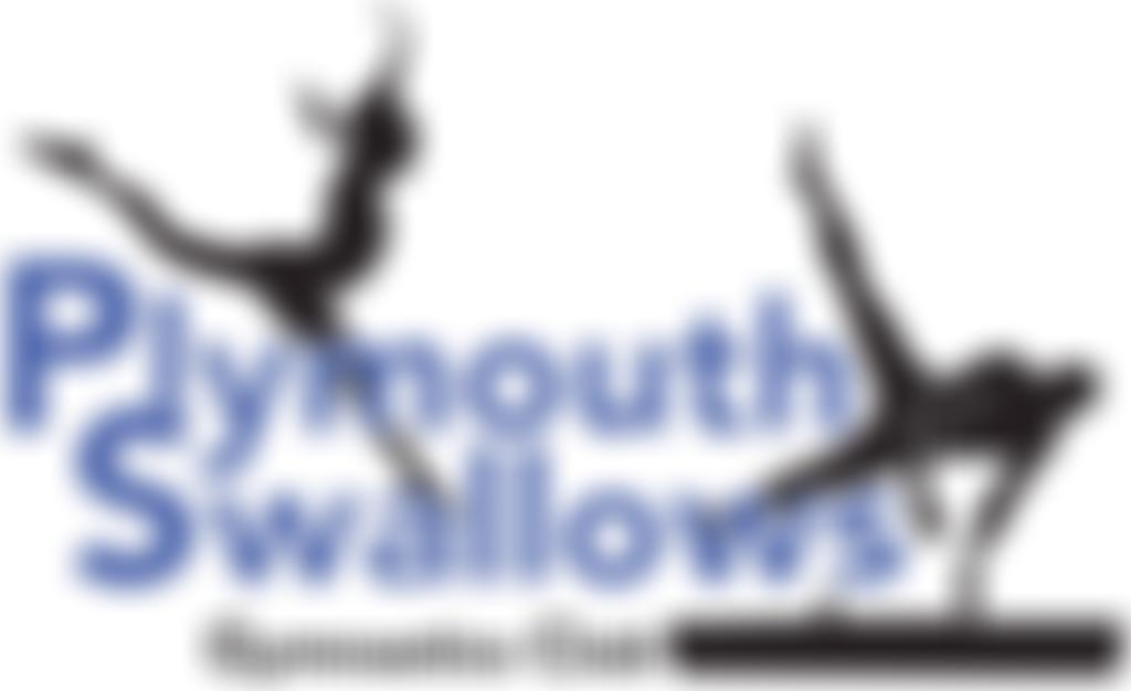 Plymouth Swallows School Of Gymnastics | Charici