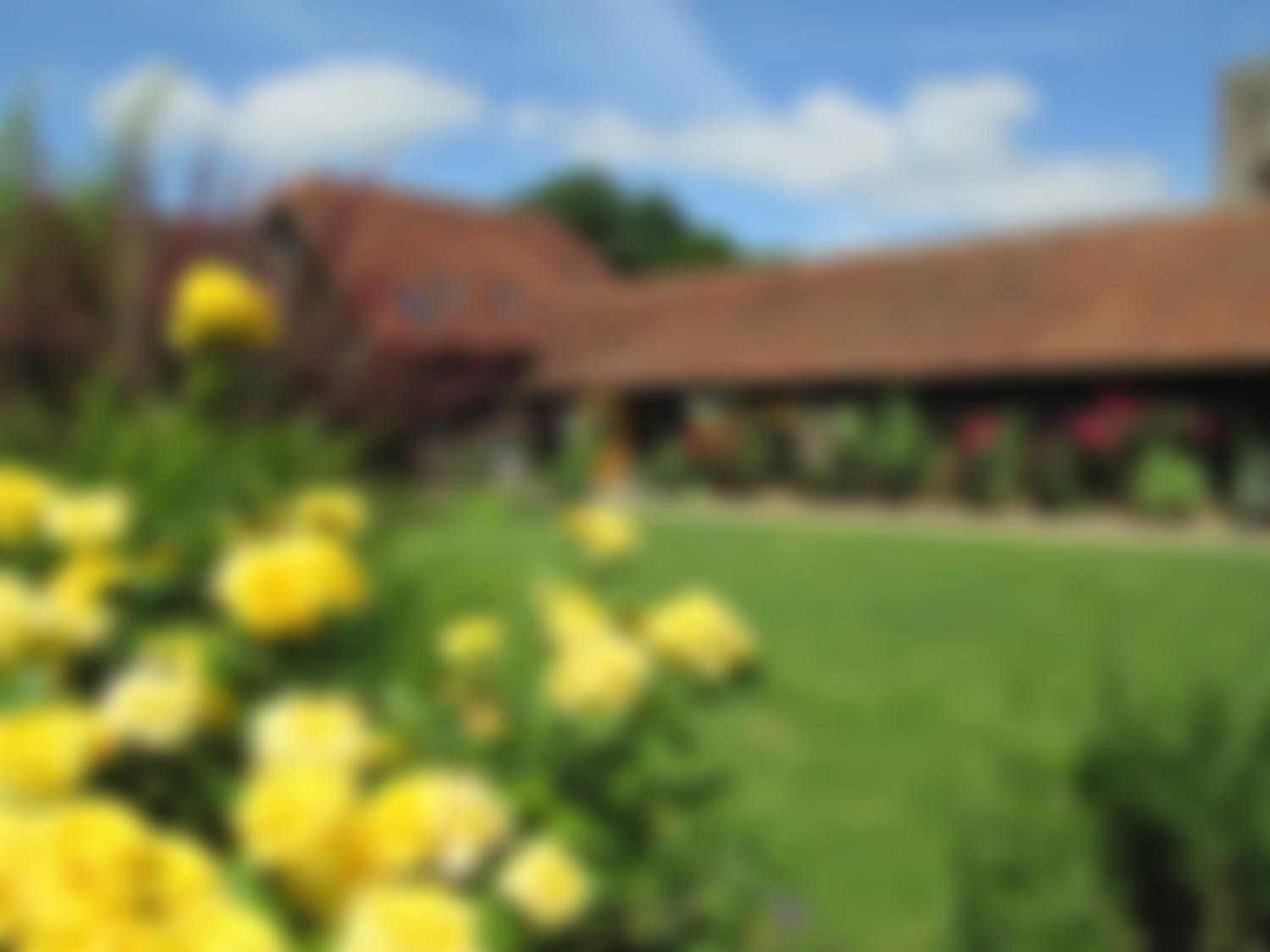 Thame Barns Centre | Charici