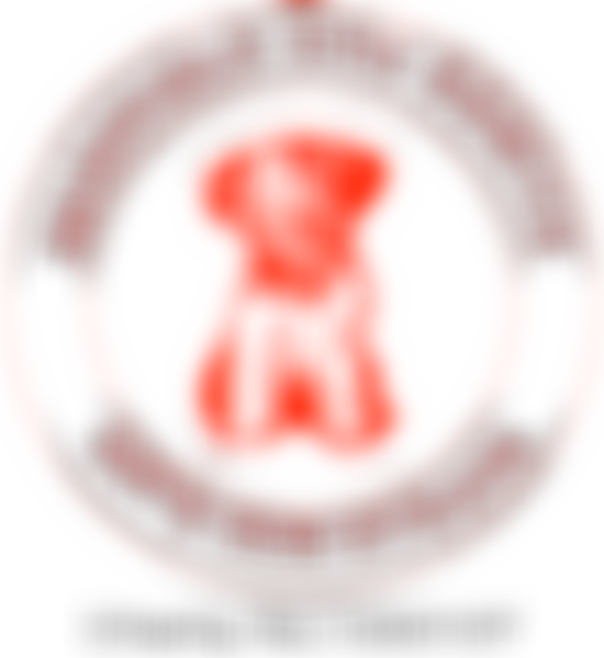 Sheffield Dog Rescue | Charici