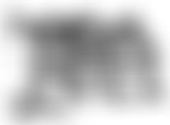 The Whitstable Society | Charici