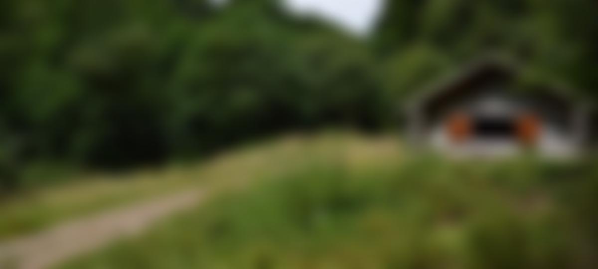 Offwell Woodland And Wildlife Trust | Charici