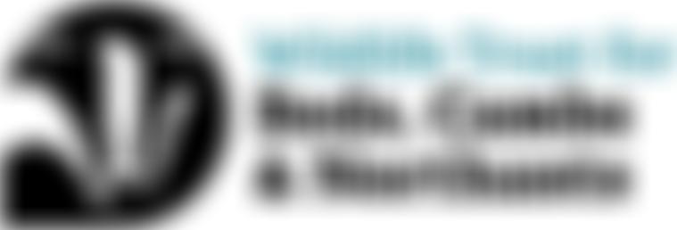 The Wildlife Trust For Bedfordshire Cambridgeshire Northamptonshire | Charici