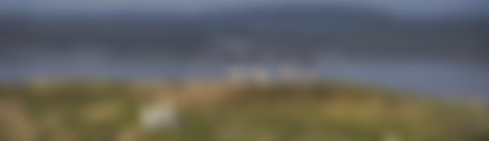 Flat Holm Society | Charici