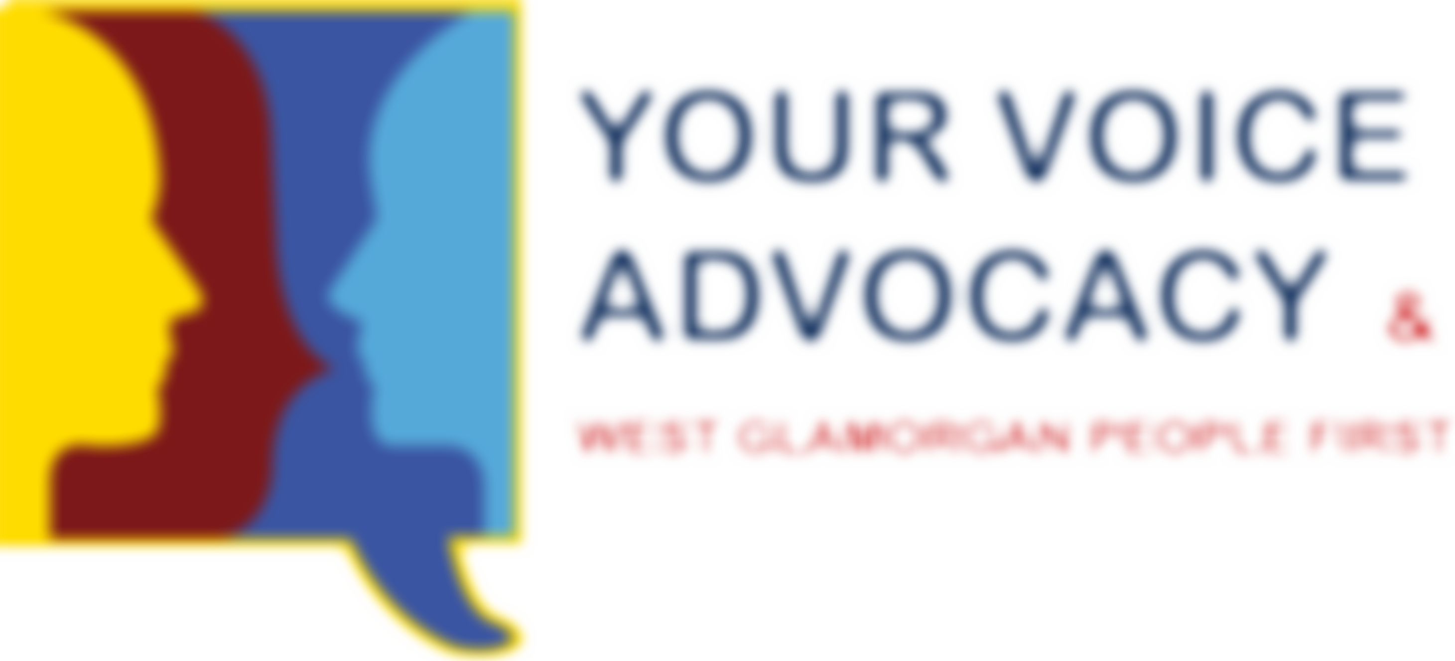 Your Voice Advocacy Project | Charici