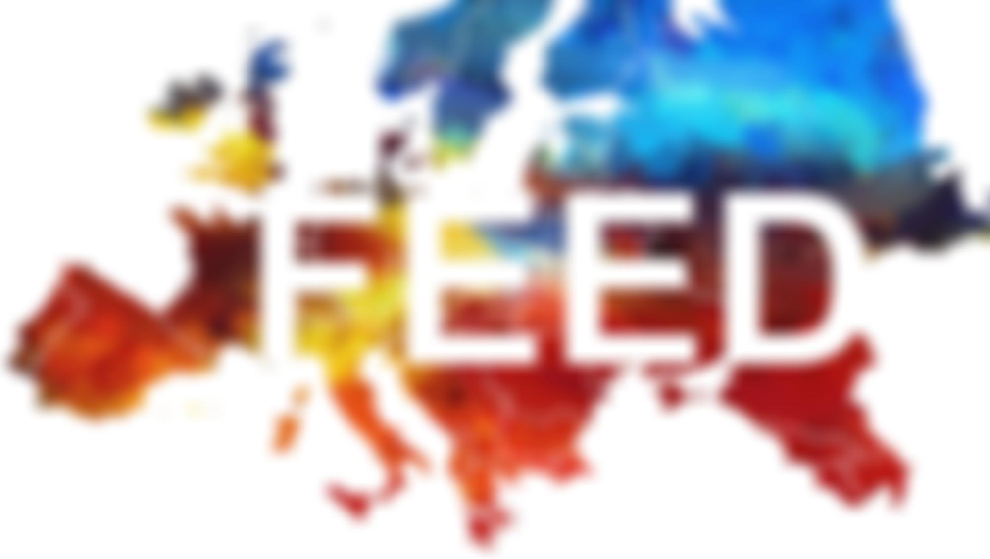 Foundation For European Economic Development | Charici