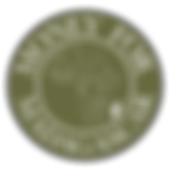 Money For Madagascar | Charici