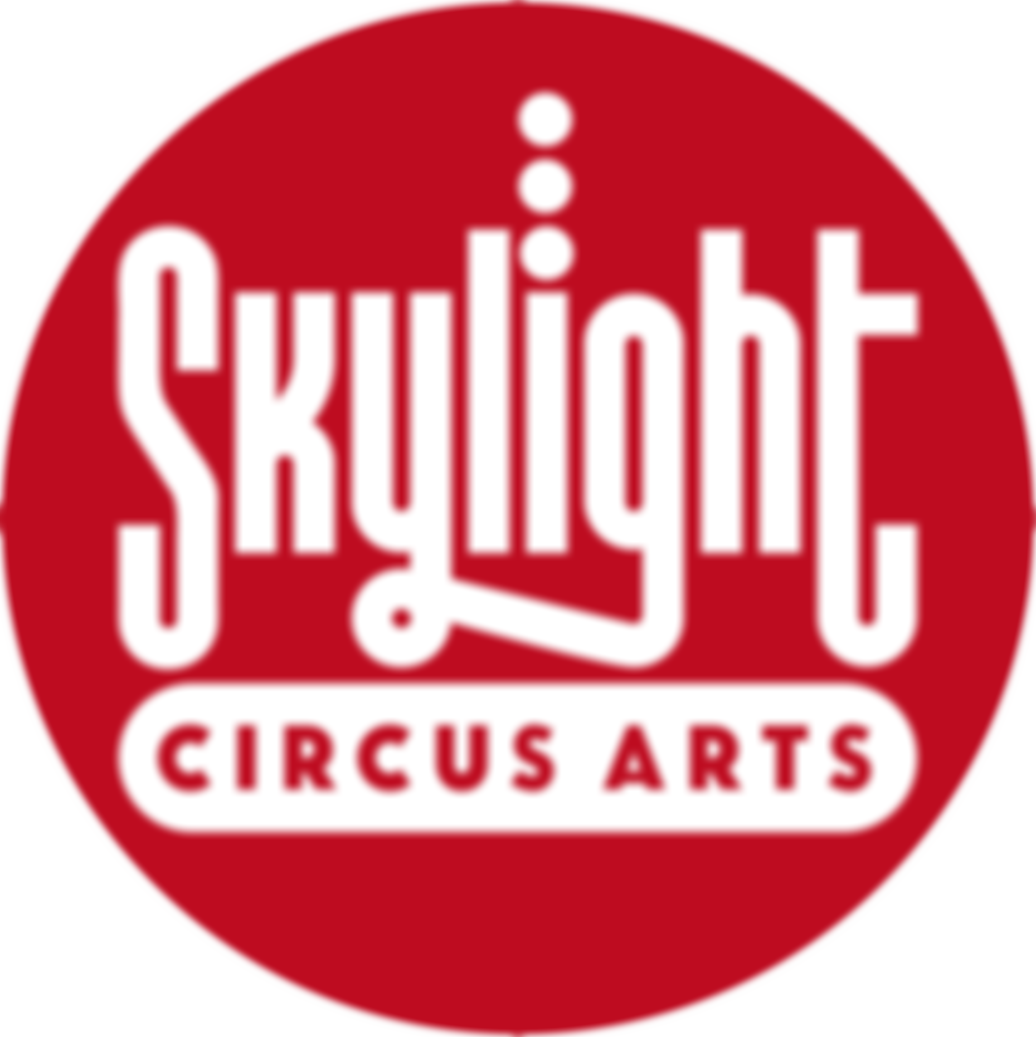 Skylight Circus In Education | Charici