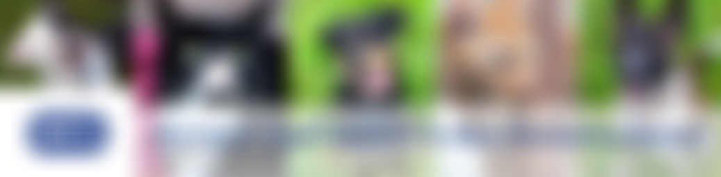 Royal Society For The Prevention Of Cruelty To Animals Stockport, East Cheshire And West Derbyshire Branch | Charici