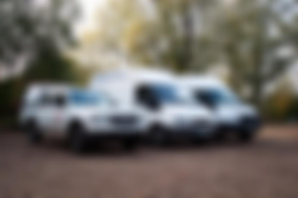 The Swan Sanctuary | Charici