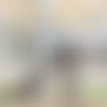 Avante Care And Support Limited | Charici