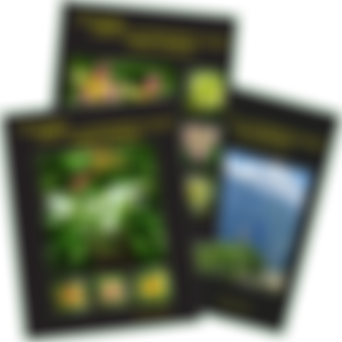 British Hosta And Hemerocallis Society | Charici