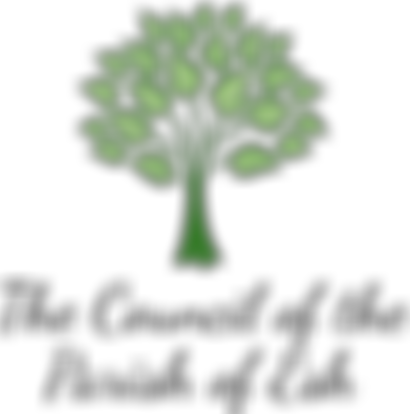 Langley Park Miners Welfare Institute And Recreation Ground | Charici