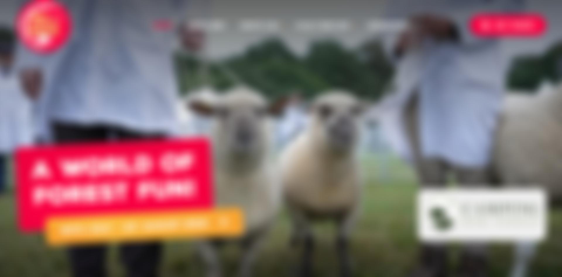 The New Forest Agricultural Show Society | Charici