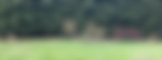 The Religious Of St Andrew | Charici