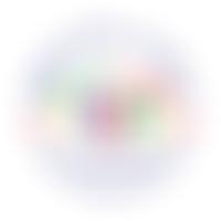 Christina Noble Childrens Foundation Limited | Charici