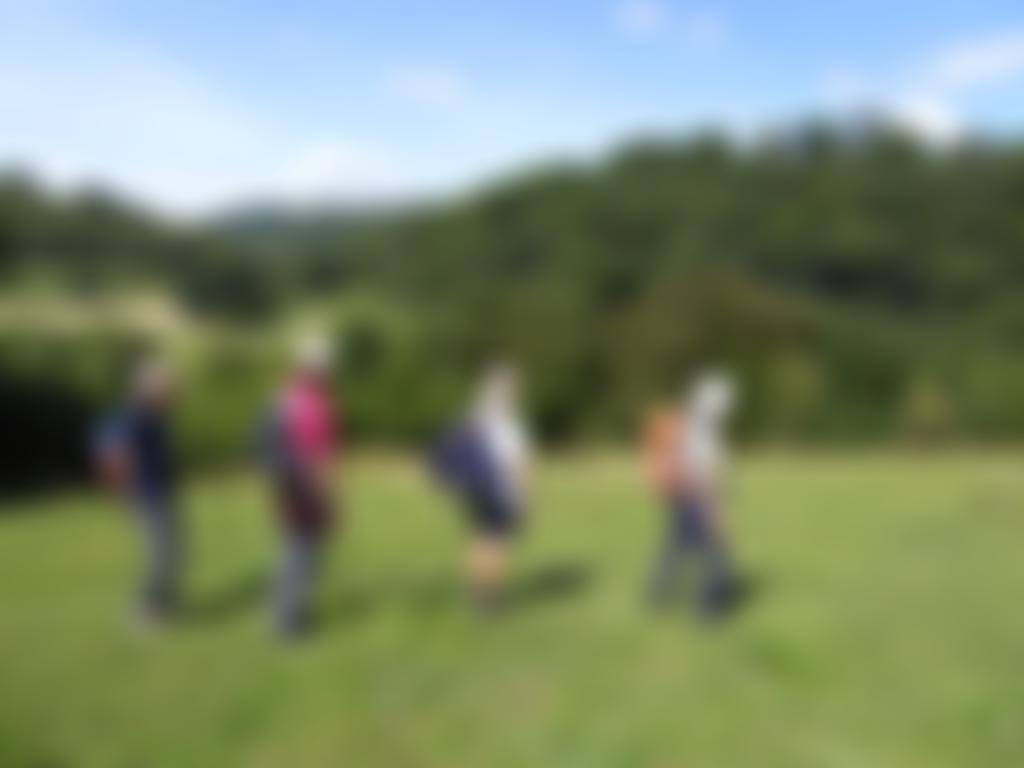 University Of The Third Age - York | Charici