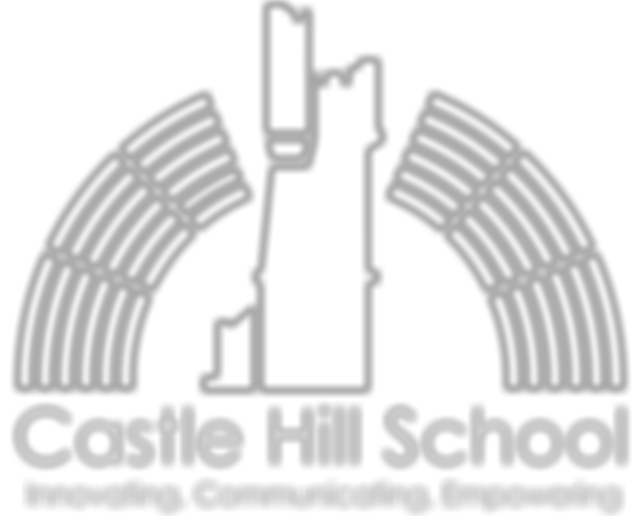 Castle Hill Special School Fund | Charici