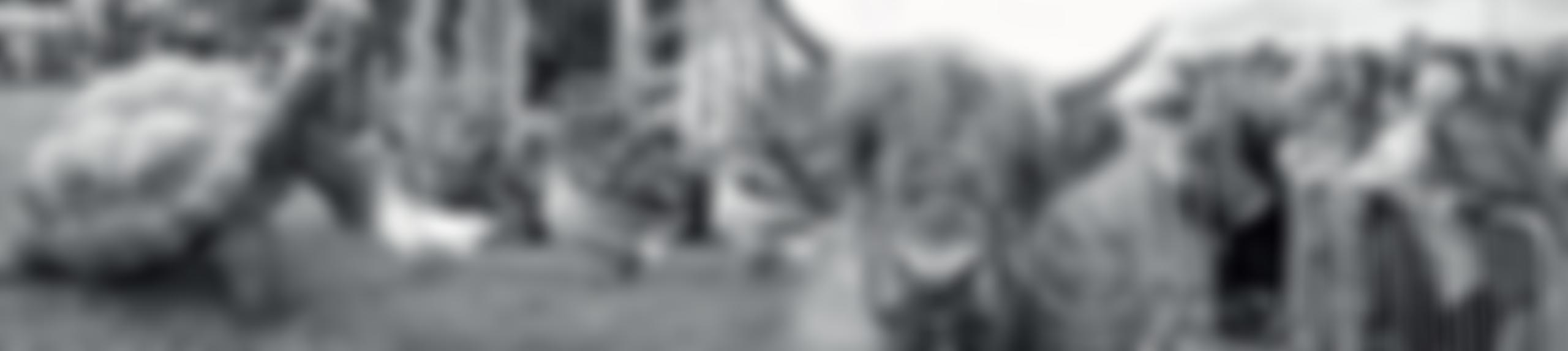 Royal Lancashire Agricultural Society | Charici