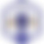 The Cheshire Beekeepers' Association | Charici