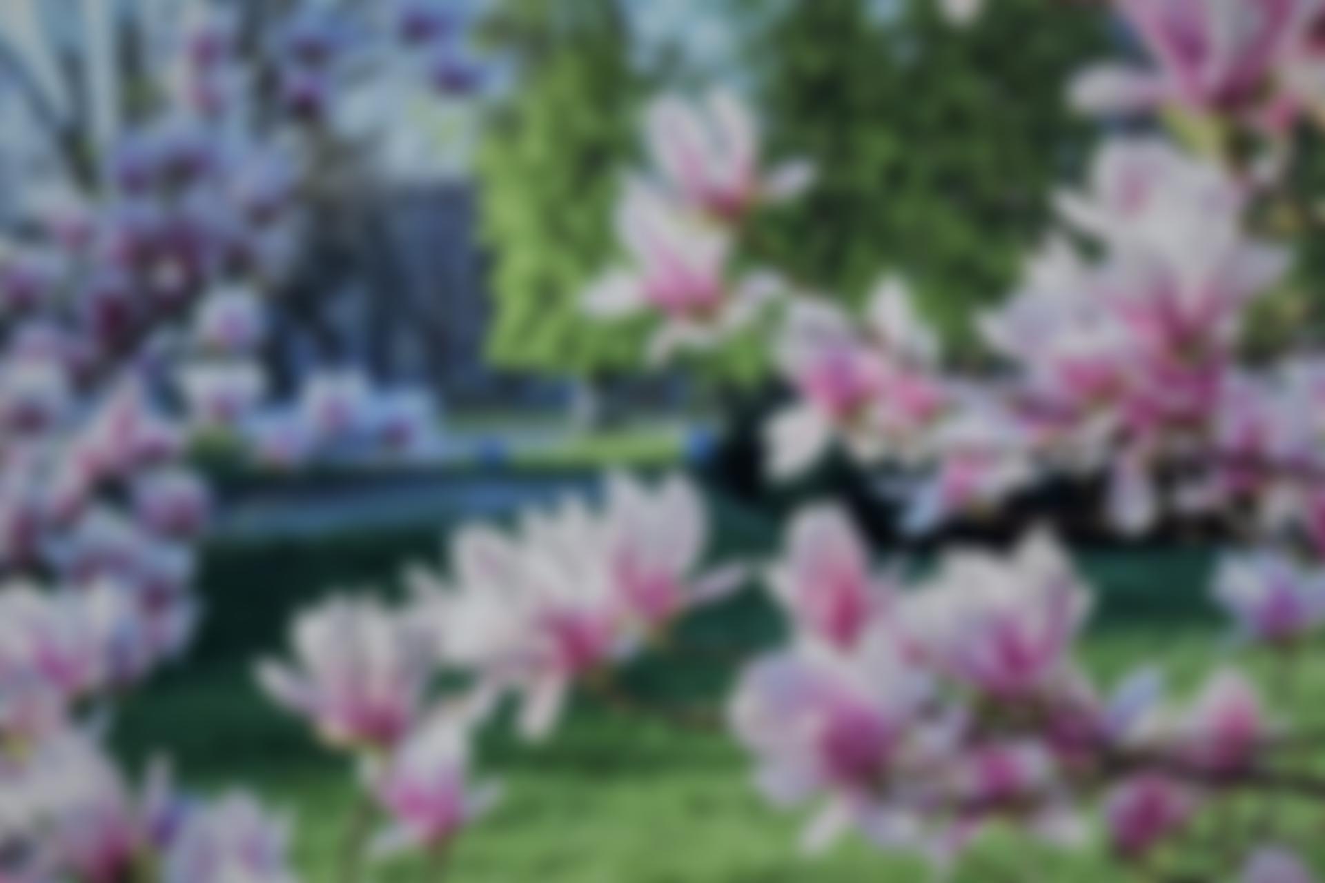 The Mrs Smith And Mount Trust | Charici