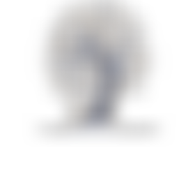 Kings Park Primary School Pfa | Charici