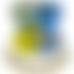 The Leeds Schools' Sports Association | Charici