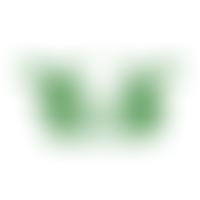 Surrey Gardens Trust | Charici