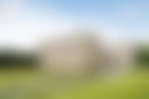 The Wheler Foundation | Charici