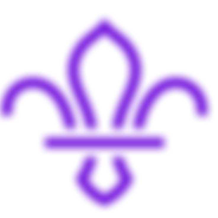 5Th Beckenham South Scout Group | Charici