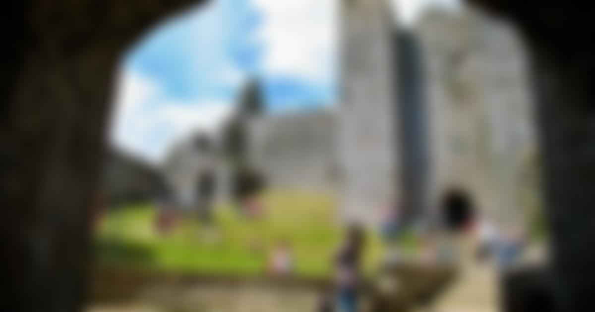 Friends Of Oystermouth Castle | Charici