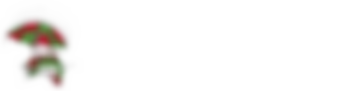 Children's Tropical Forests UK | Charici