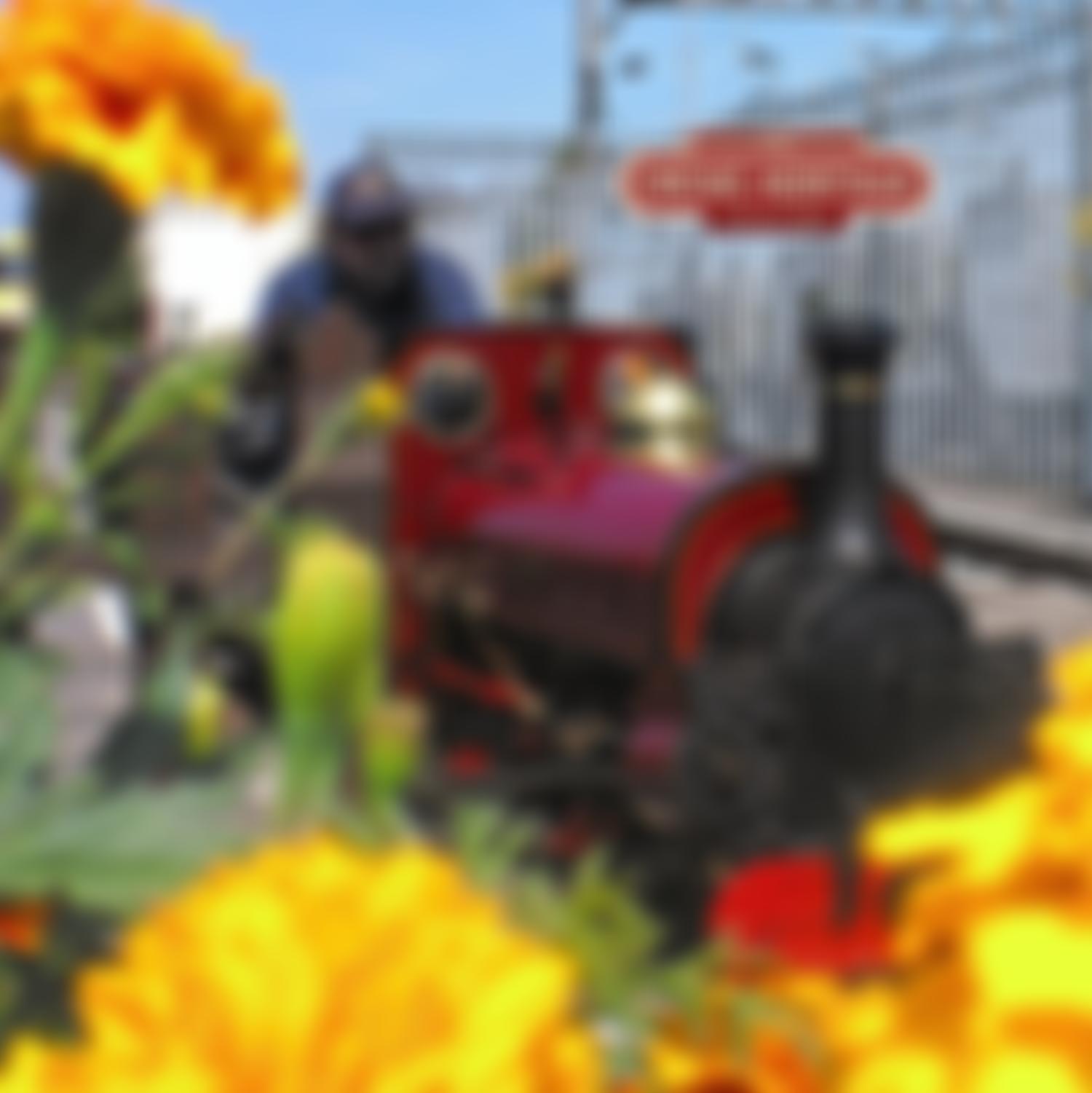 Crewe Heritage Trust | Charici