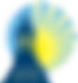 The Friends Of Alpington V A School | Charici