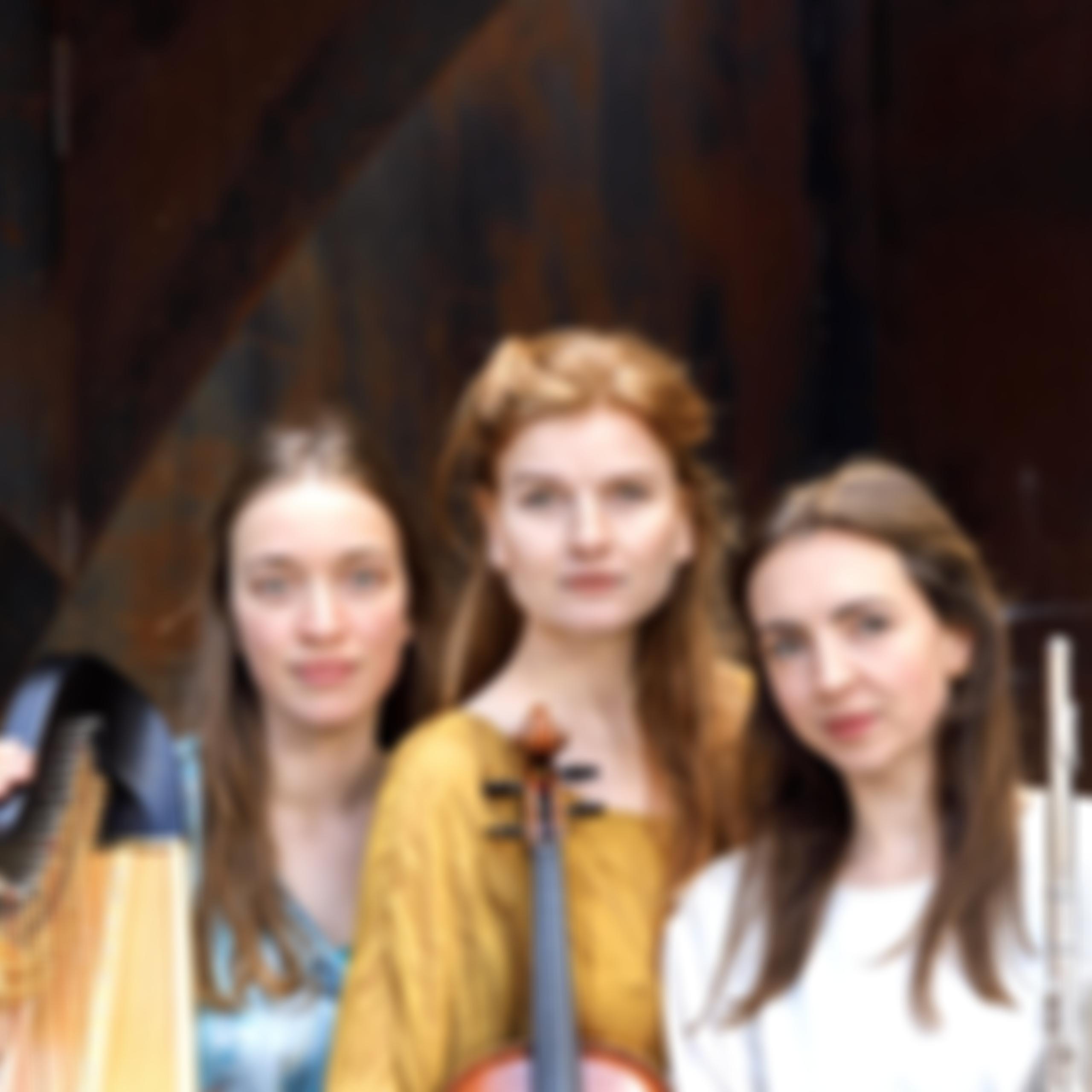 The Scunthorpe And North Lincolnshire Concert Society | Charici