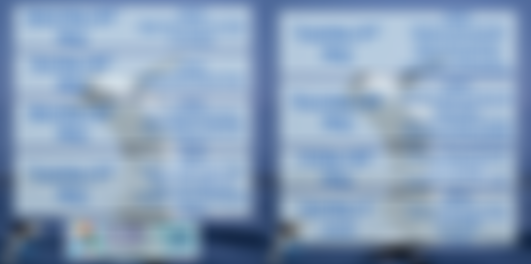 Sea Watch Foundation, The Cetacean Monitoring Unit | Charici